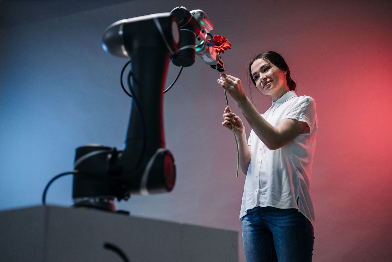 Cobot Solutions